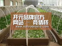 环境展示五