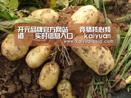 种植基地六