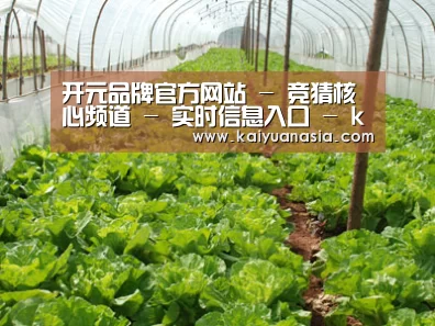 种植基地五
