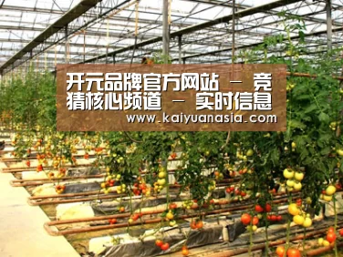种植基地二