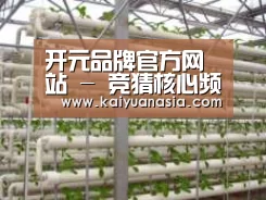 环境展示六